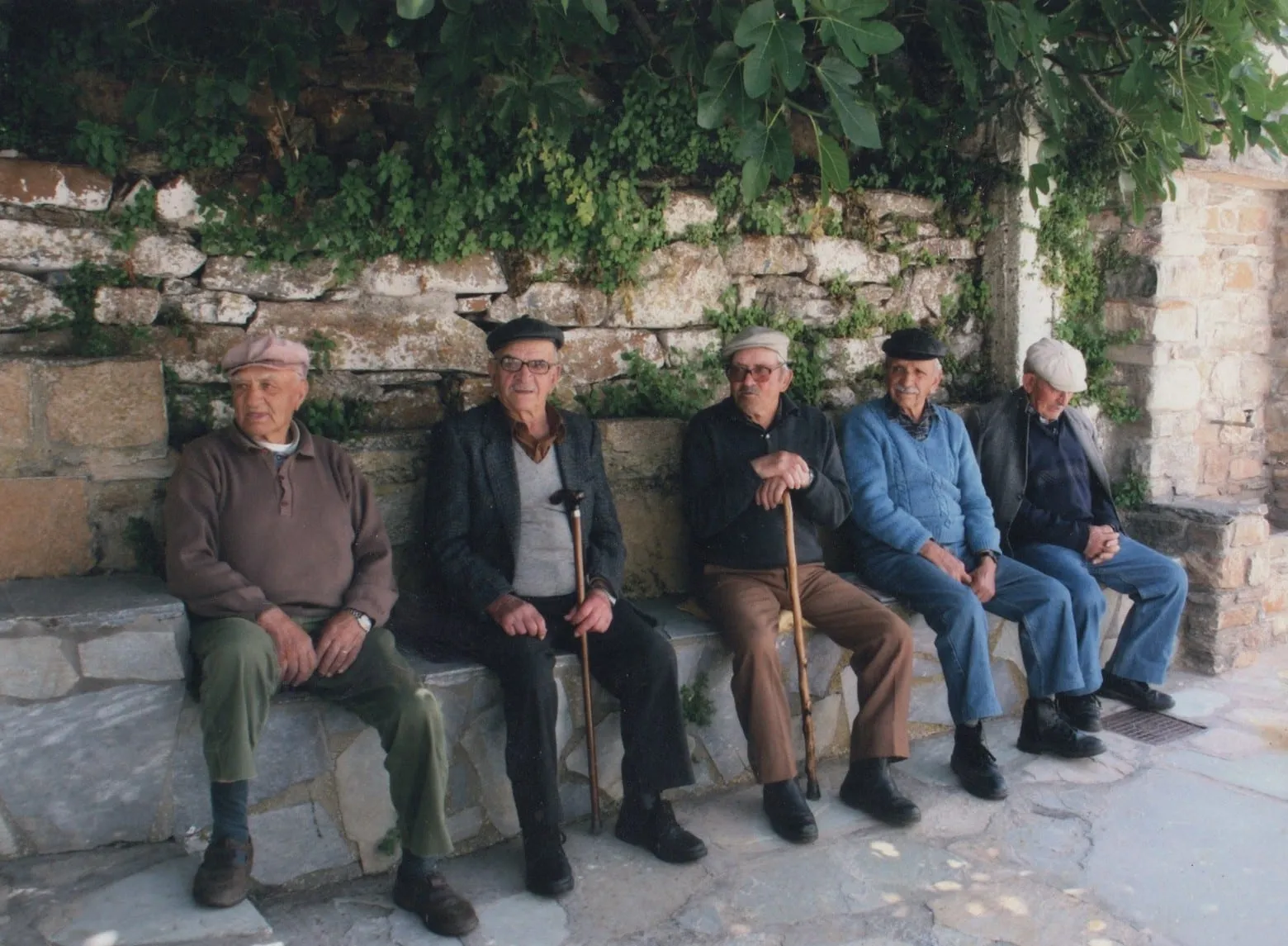 Στο πεζούλι, κάτω από την κληματαριά